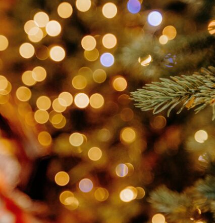 Point sur les marchés et la stratégie dinvestissement décembre 2025